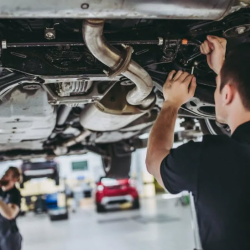 NAPA Warranty