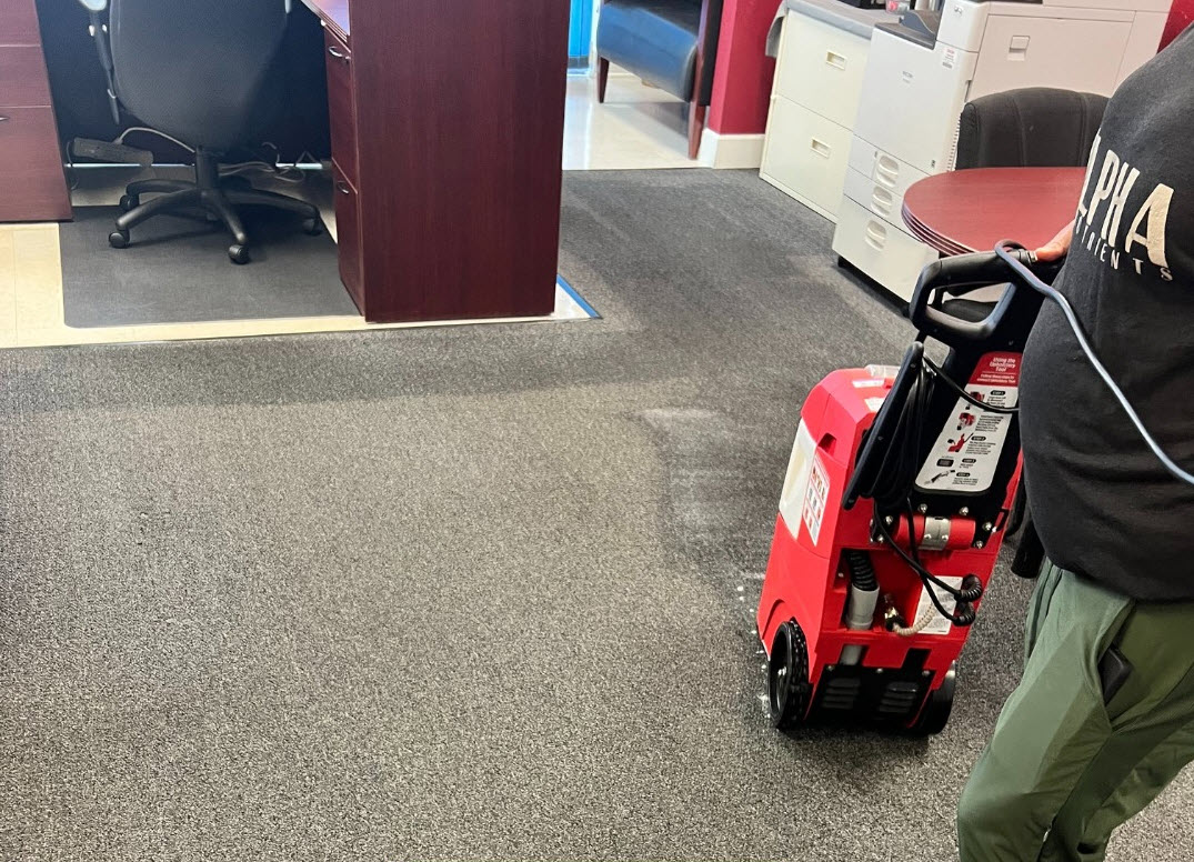 Carpet Cleaning Service