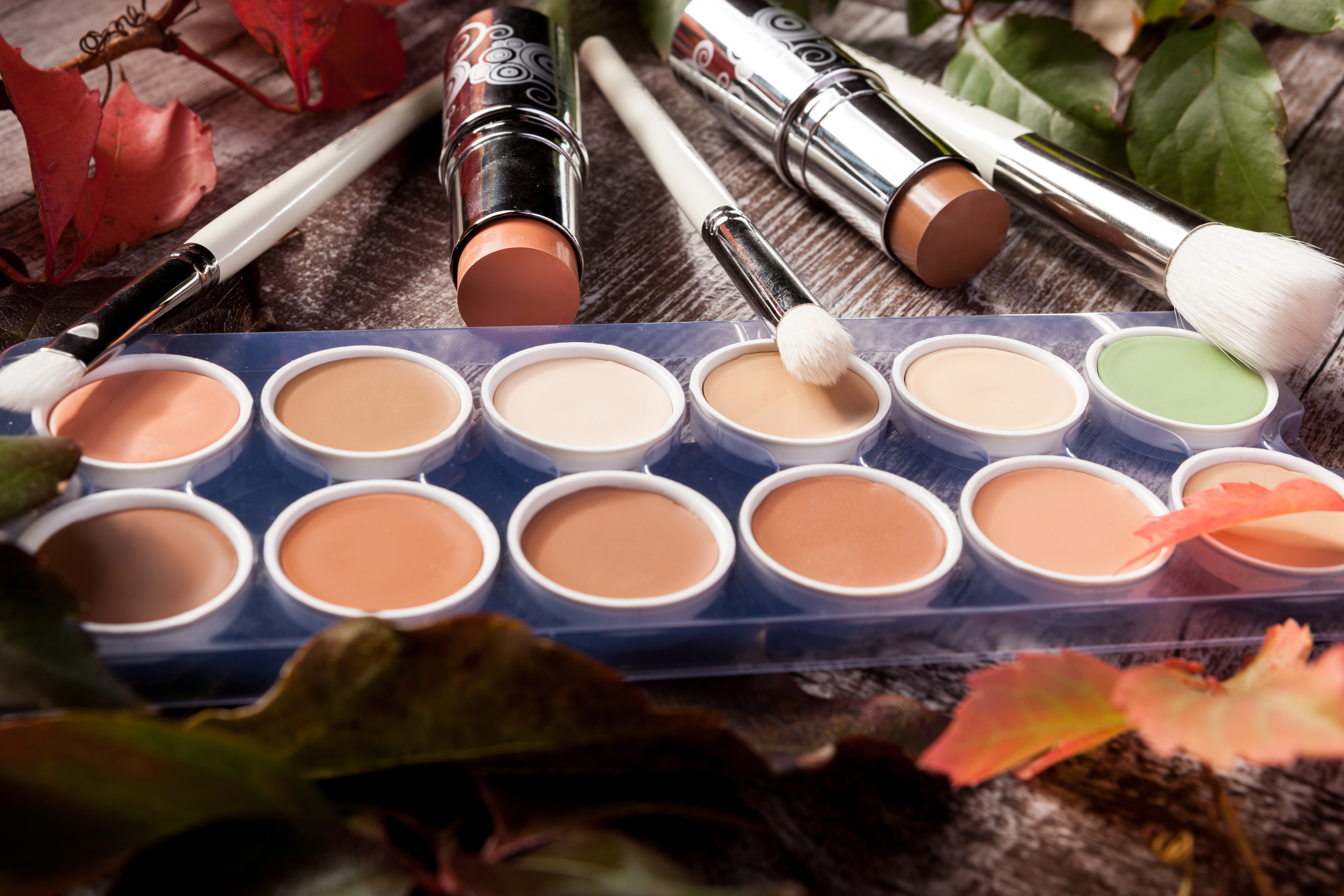 Professional Makeup Palette