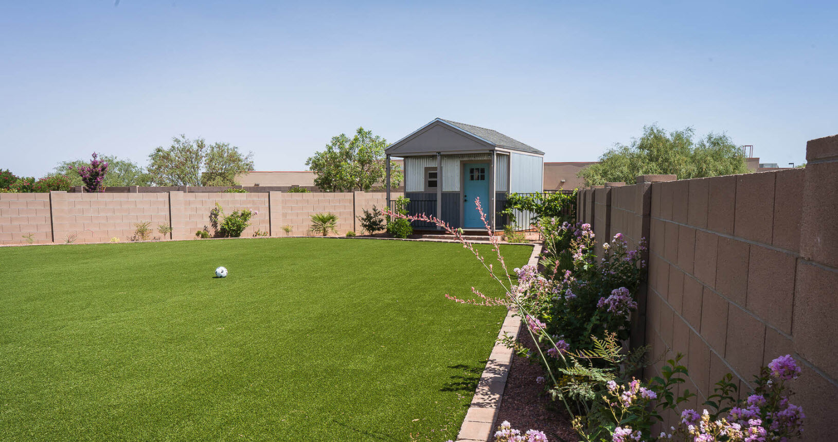 Turf Cleaning