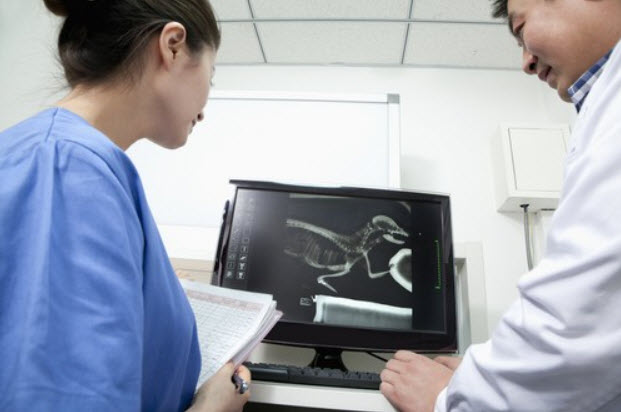 Advanced Digital X-rays