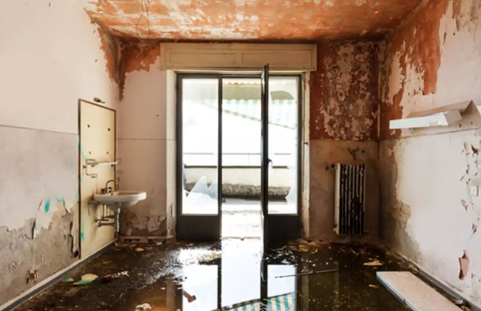 Water Damage Cleanup & Repair