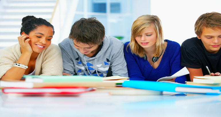 Curriculum