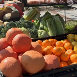 Nutrition Destination