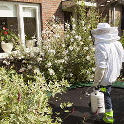 Pest Control Service