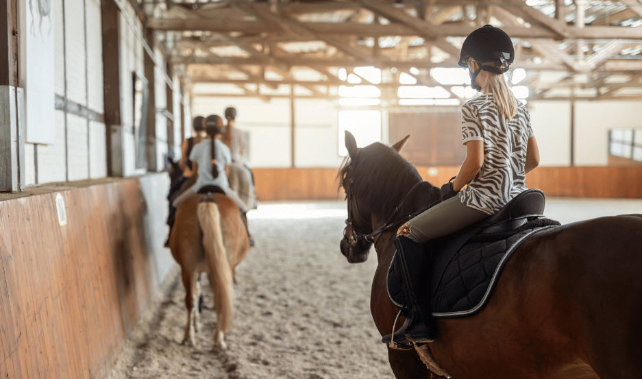 Equine Assisted Learning (EAL)