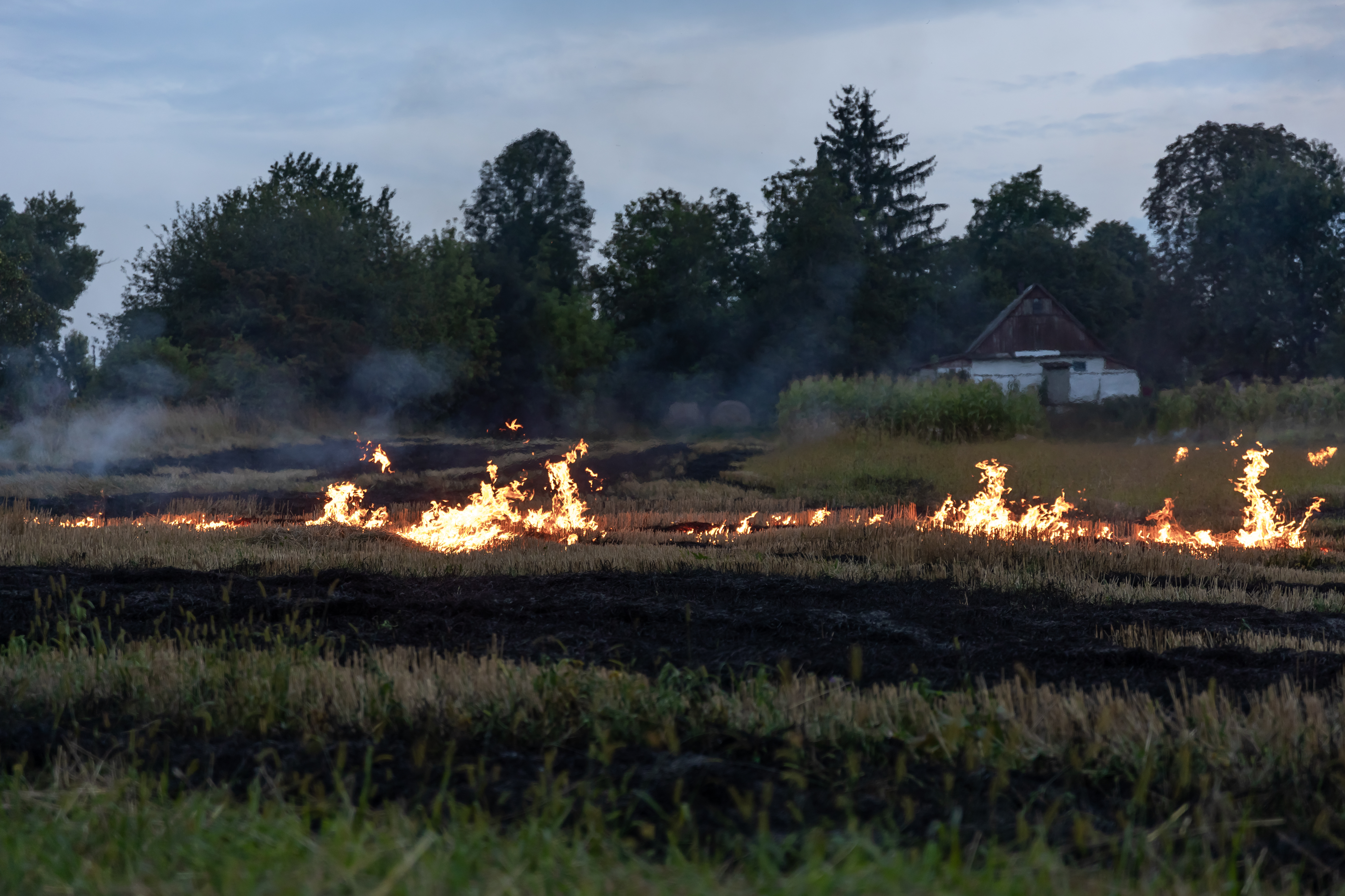 Wildfire Mitigation
