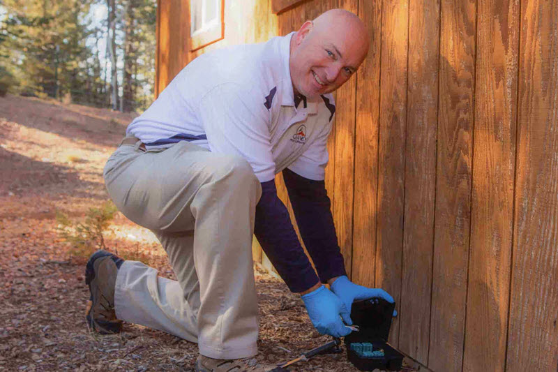 Real Estate Inspection