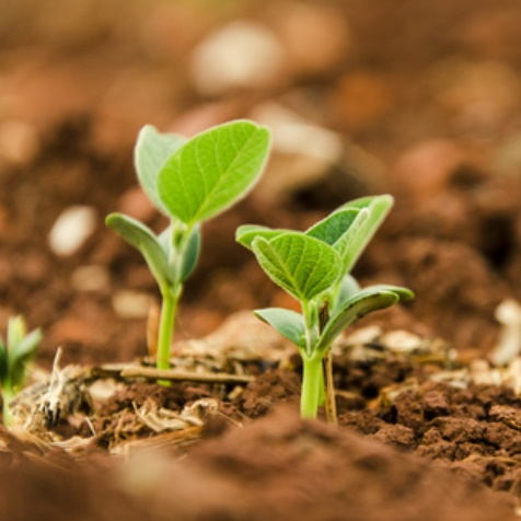 Sustainability