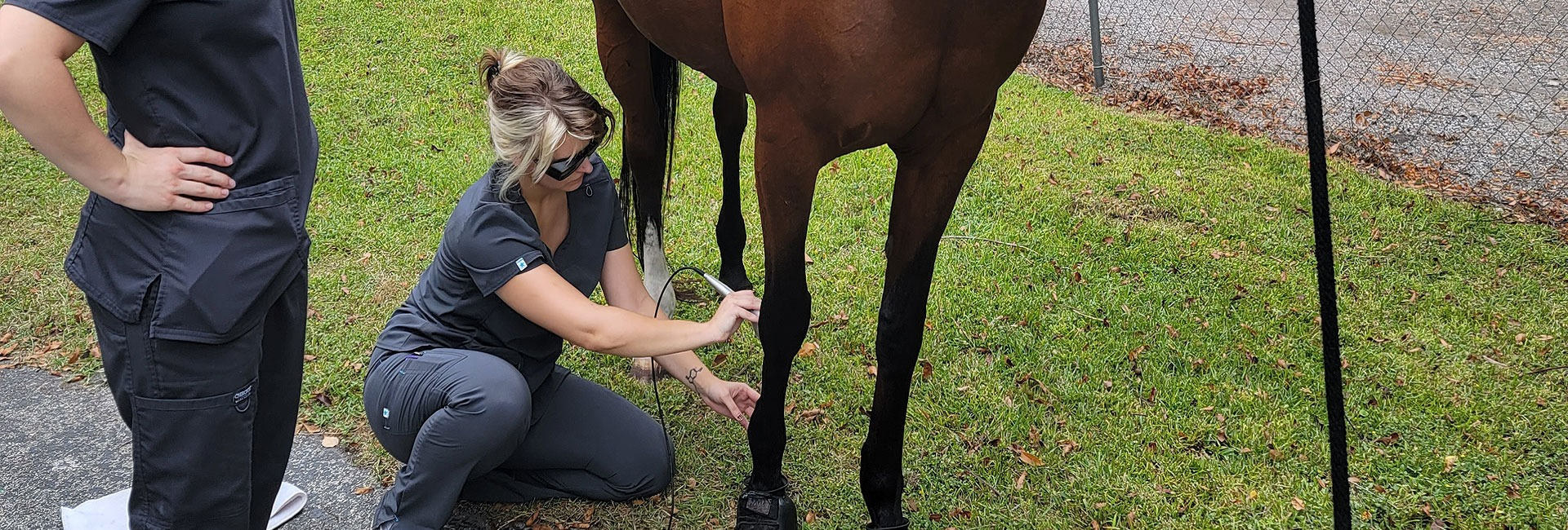 House Calls / Mobile Vet Services