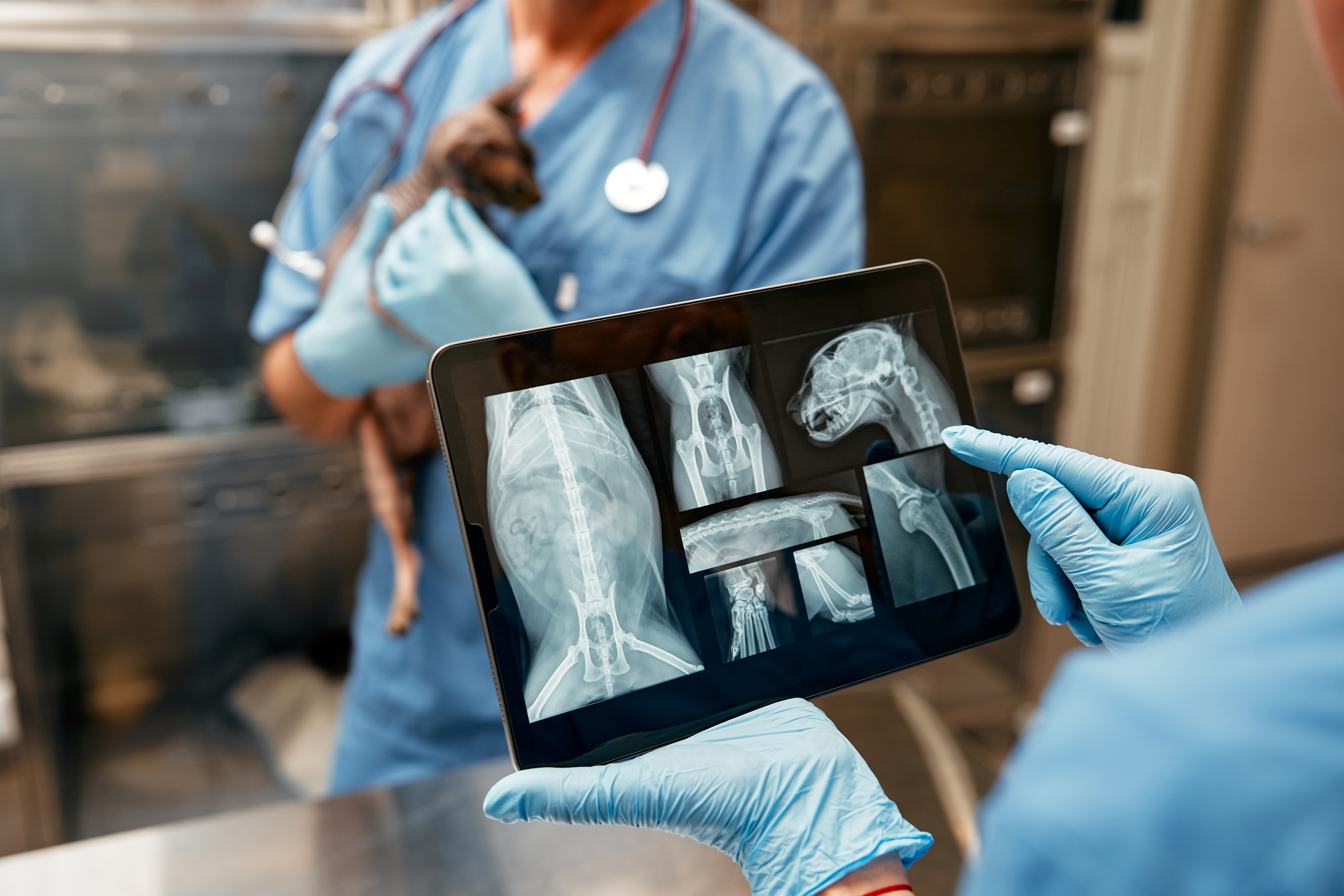 Radiology (X-Rays, Digital)