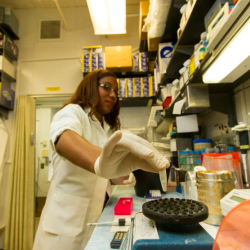 Pharmacy Technician