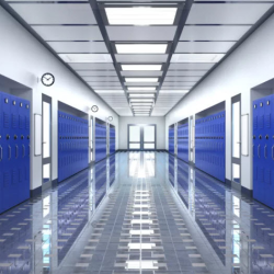 School Law