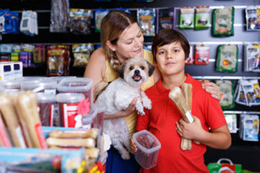 Dog Treats