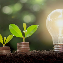 Rebates and Savings