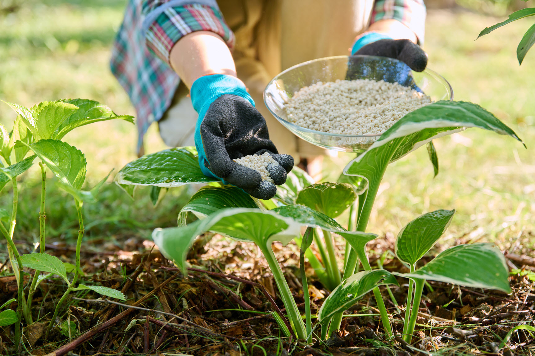7-Step Deluxe Fertilization Program