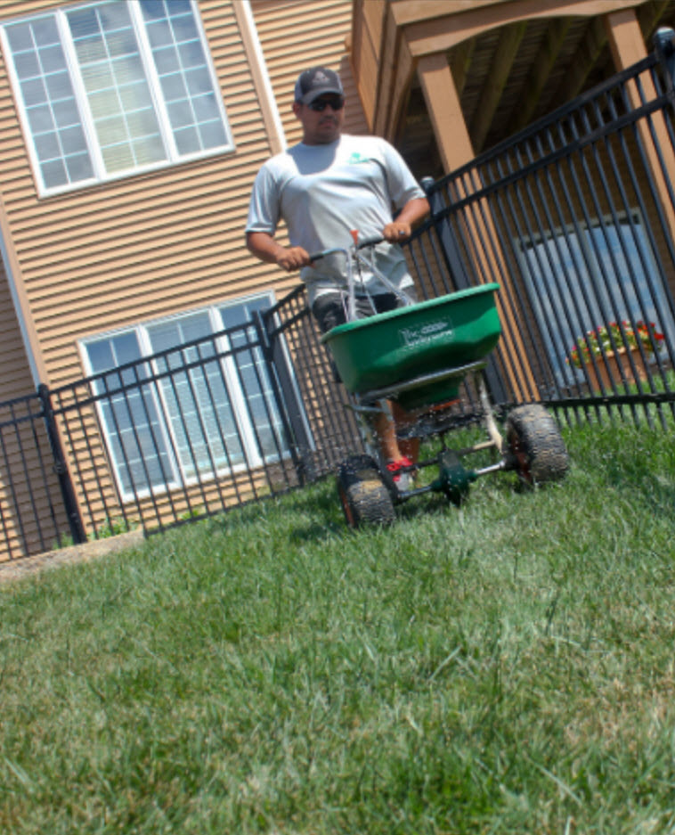 4-Step Basic Fertilization Program