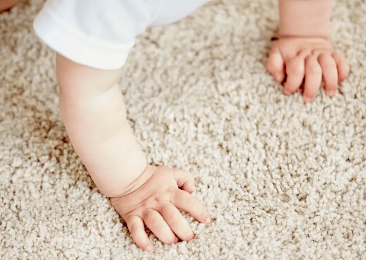 Carpet Flooring