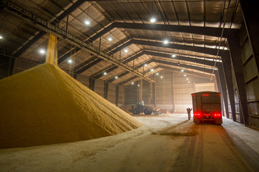 Distillers Grains