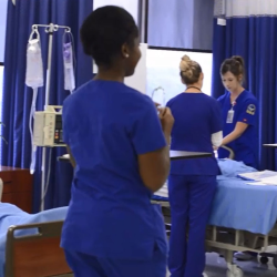 School of Nursing – BSN & VN