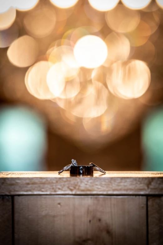 The Go. Wander. Elopement