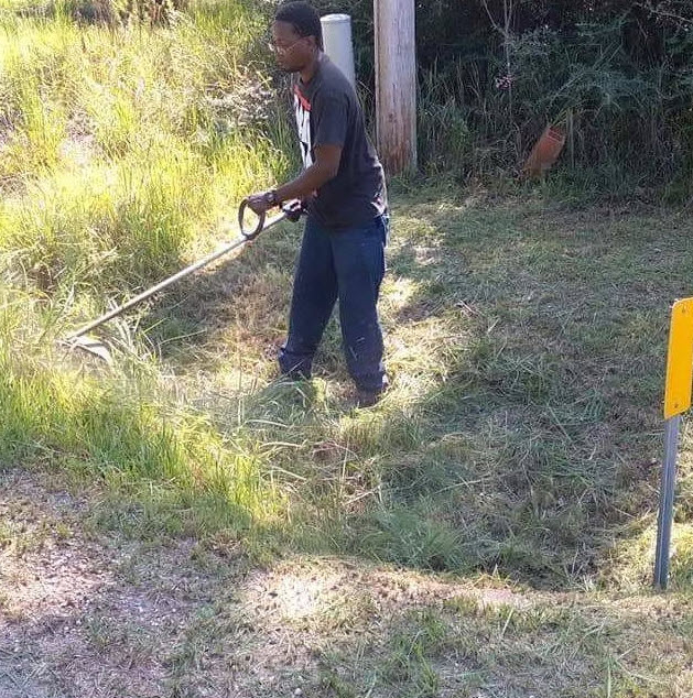 Maintenance and Lawn Care