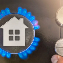 Gas Furnaces