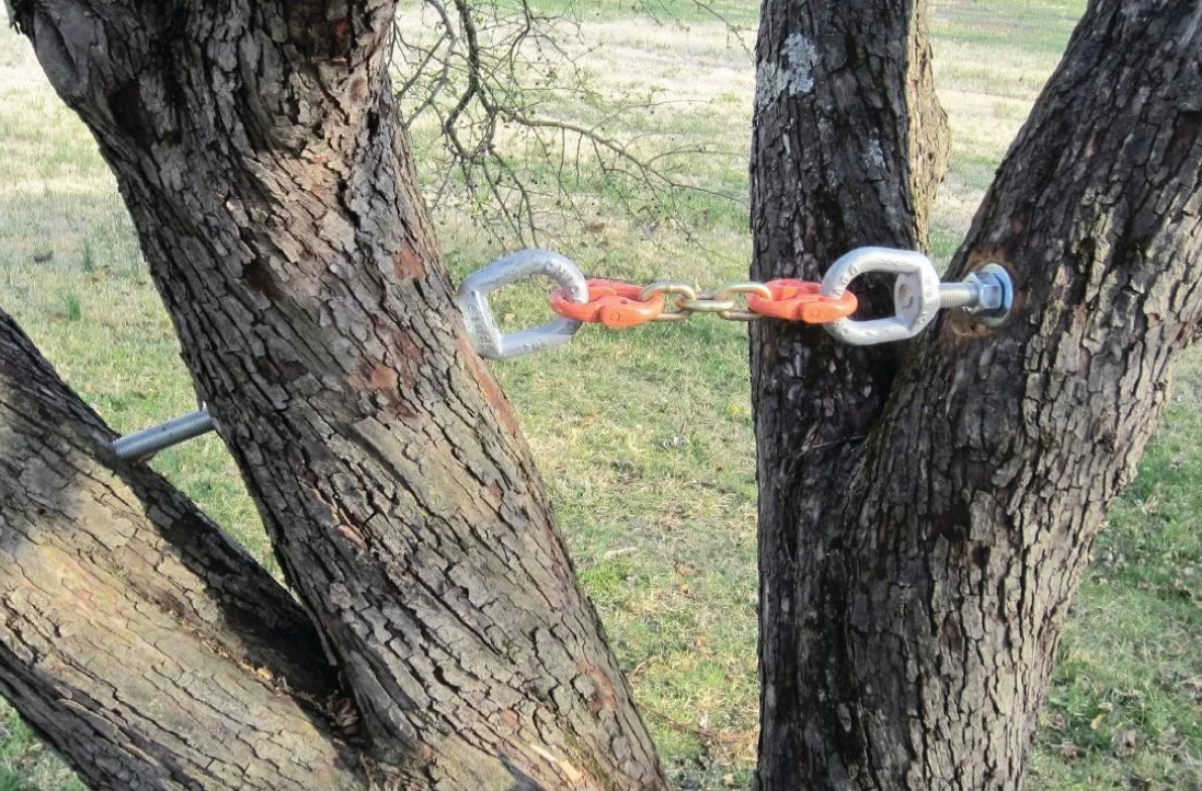 Cabling & Bracing