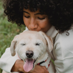 Pet-Friendly Lifestyles