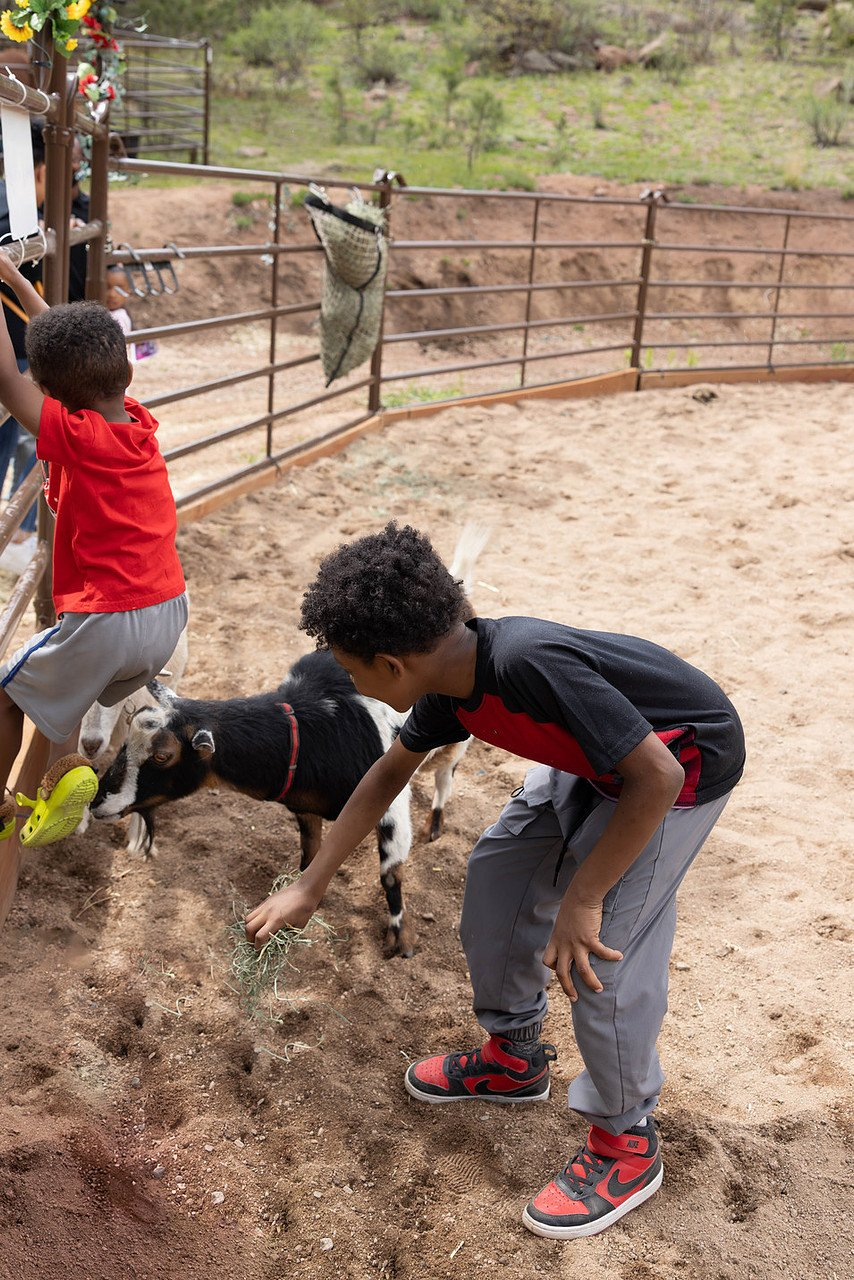 Family Farm Experience