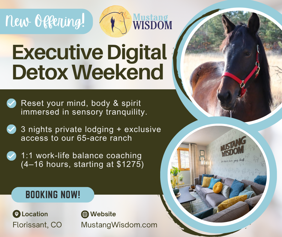 Executive Tech Detox Weekend