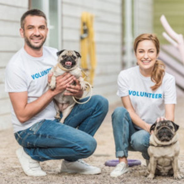 Volunteer