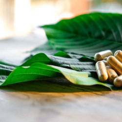 Kratom Capsules
