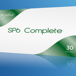 SP6 Complete