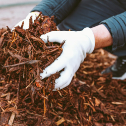 Mulch Pick-Up