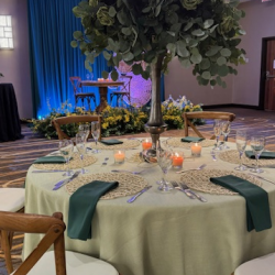 Groups and Events