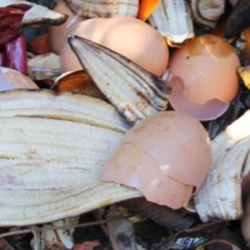 Composting