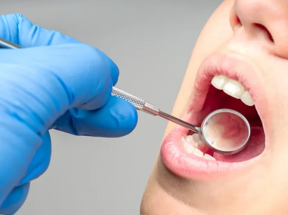 Dental / Vision / Hearing
