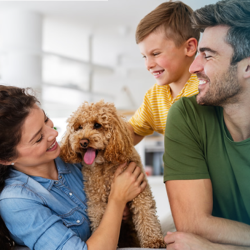 Pet Insurance
