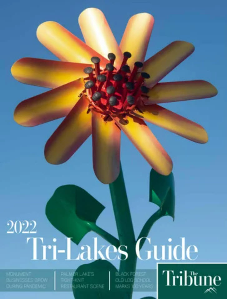 Special Publications