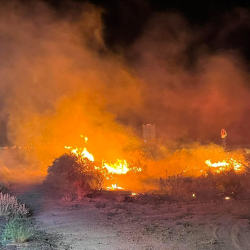 Burn Permits