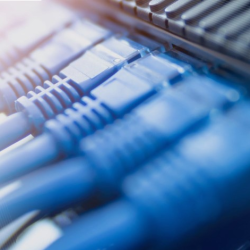 Data Networking