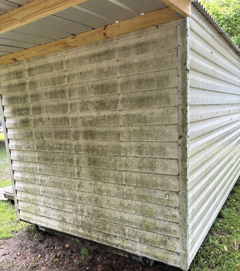 Algae Removal