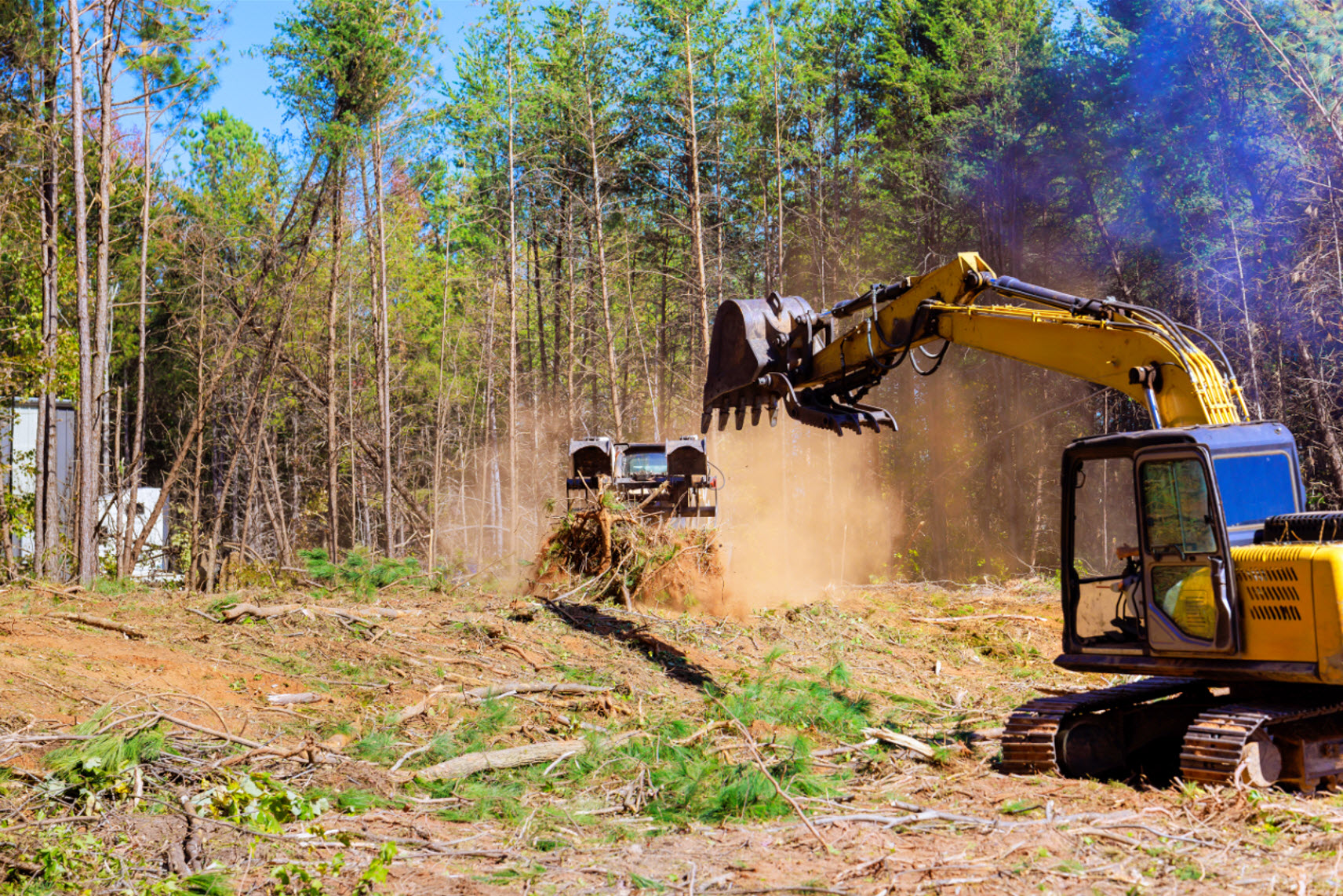 Land Clearing