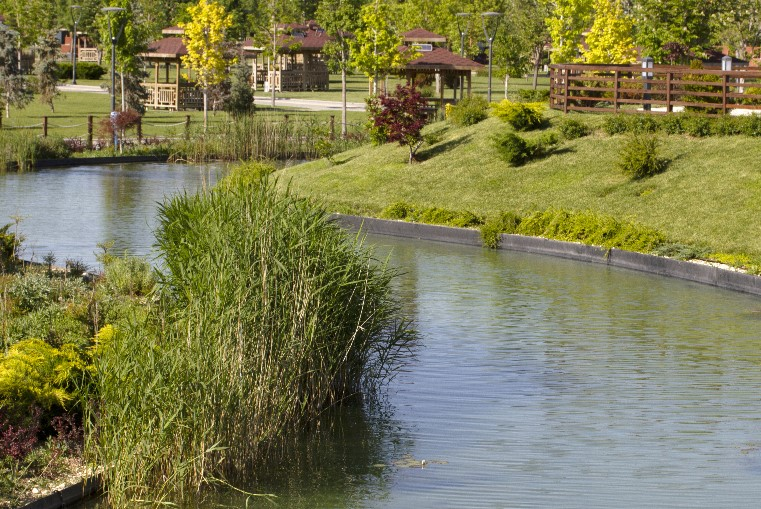 Pond Management