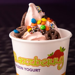 Frozen Yogurt