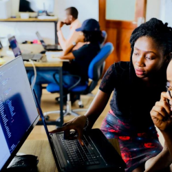 Professional Roles