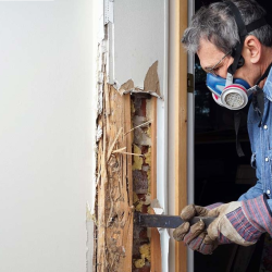 Termite Treatments