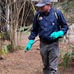 Outdoor Pest Preventative Treatment
