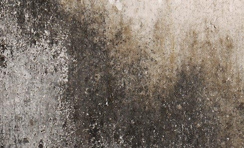 Commercial Fire Damage Restoration